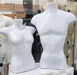 busto.jpg